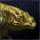 qa_vaQ's account profile image.