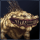 elchonkos's account profile image.