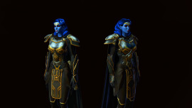 An image of the outfit 'Elegant Armor'