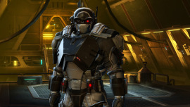 An image of the outfit 'Imperial Trooper Support'