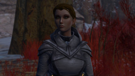 An image of the outfit 'Hayley Dorne's High Altitude Armor'