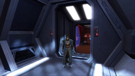 An image of the outfit 'Cathar Sith'